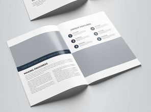 簡約大氣藍(lán)色科技公司軟件開發(fā)宣傳冊(cè)模板